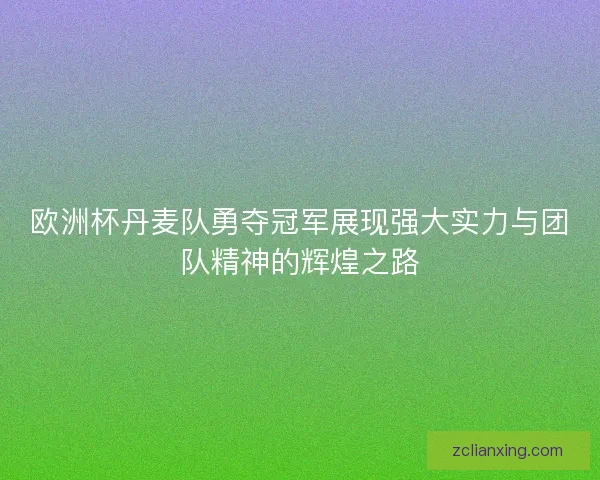 欧洲杯丹麦队勇夺冠军展现强大实力与团队精神的辉煌之路