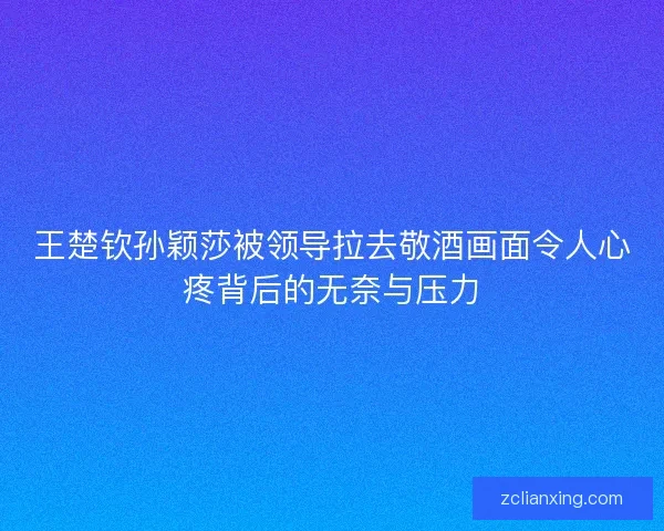 王楚钦孙颖莎被领导拉去敬酒画面令人心疼背后的无奈与压力