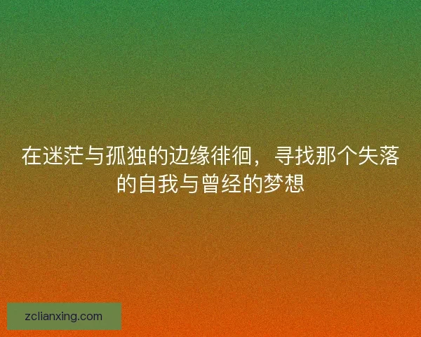 在迷茫与孤独的边缘徘徊，寻找那个失落的自我与曾经的梦想